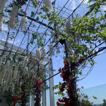 Catch - Beautiful flowery decor - Sushi Bars Near Me - West Hollywood, California Catch - Beautiful flowery decor - Sushi Bars Near Me - West Hollywood, California