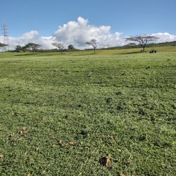 Waiau District Park - So beautiful