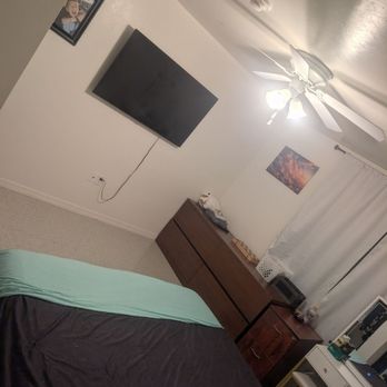 Working Bee Cleaning Services - Home Cleaning Near Me