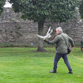 True Blue Waters Travel - Falconry event at Dunrobin in Scotland - Travel Agents Near Me True Blue Waters Travel - Falconry event at Dunrobin in Scotland - Travel Agents Near Me