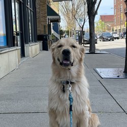 Wanting to stop in to say hi to Lori