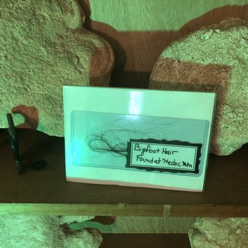 Cryptozoology & Paranormal Museum - Museums Near Me - Littleton, North Carolina Cryptozoology & Paranormal Museum - Museums Near Me - Littleton, North Carolina