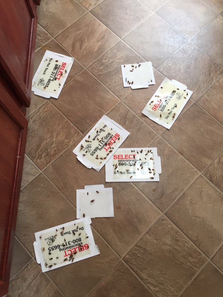 SHAKER HEIGHTS APARTMENTS Updated October 2024 91 Shaker Heights Rd