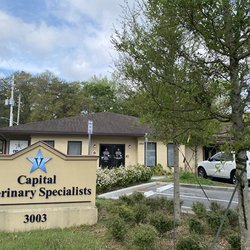 Capital Veterinary Specialists, Jax