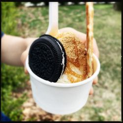 The Urban Cone - Some kind of specialty sundae