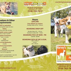 Harvey's Pet - Our pet hotel and daycare brochure