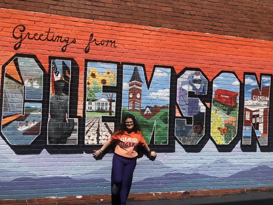Clemson University by null