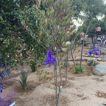 Casa Frida - Front yard - Wine Tasting Room Near Me - Ensenada, BCN