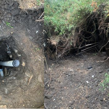 Challenge Rooter - They had to dig a deep hole and get through our jungle of bushes - Plumbing Near Me - Oakland, California Challenge Rooter - They had to dig a deep hole and get through our jungle of bushes - Plumbing Near Me - Oakland, California
