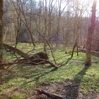Patapsco Valley State Park - Away from the sandy stretches in the afternoon. - Parks Near Me - Ellicott City, Maryland