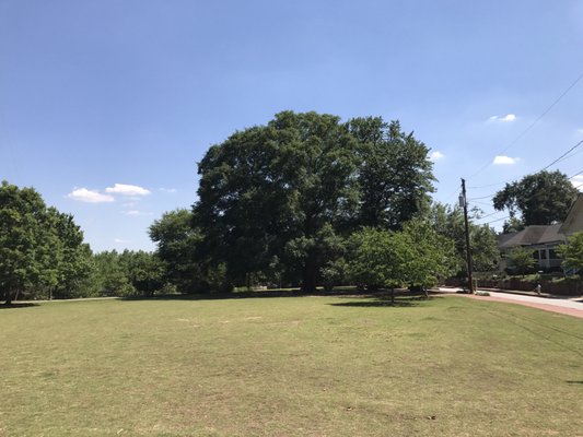 Cabbagetown Park by null