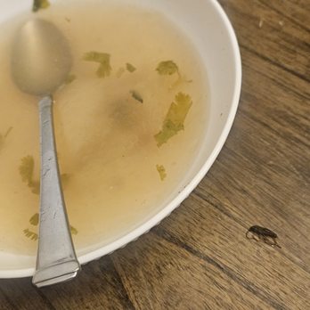 Lan City Noodle Bar - Cockroach in the soup - Noodles Near Me - Ann Arbor, Michigan Lan City Noodle Bar - Cockroach in the soup - Noodles Near Me - Ann Arbor, Michigan