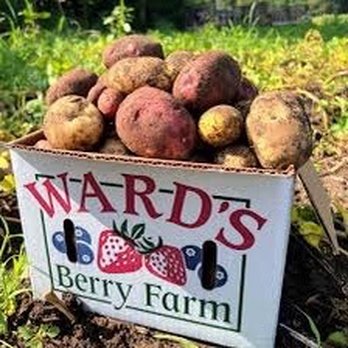 Ward's Berry Farm - Delis Near Me - Sharon, Massachusetts