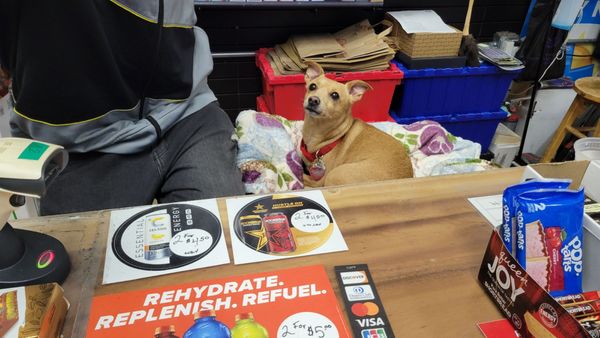 Amal's Deli and Market by null