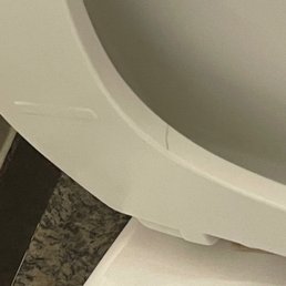 Hair on toilet when checked in Hair on toilet when checked in