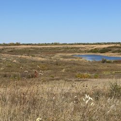 Lake in the Hills Fen Park - Trail view