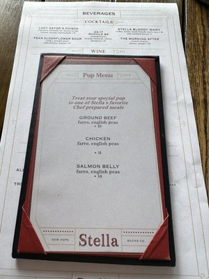 Stella of New Hope by null