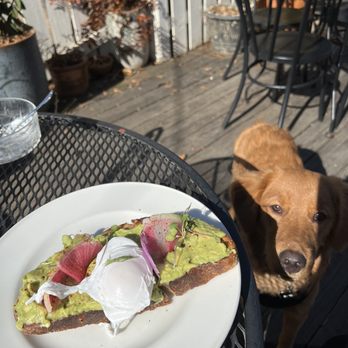 Fellows Cafe - Avocado toast with poached egg. - Breakfast & Brunch Near Me - Roswell, Georgia