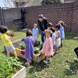 The Foundations Montessori