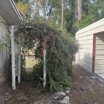 Turf Titan - overgrown brush - Lawn Services Near Me Turf Titan - overgrown brush - Lawn Services Near Me