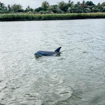 Low Country Drifters - Boat Tours Near Me - Savannah, Georgia Low Country Drifters - Boat Tours Near Me - Savannah, Georgia