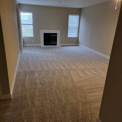 All In One Carpet Care