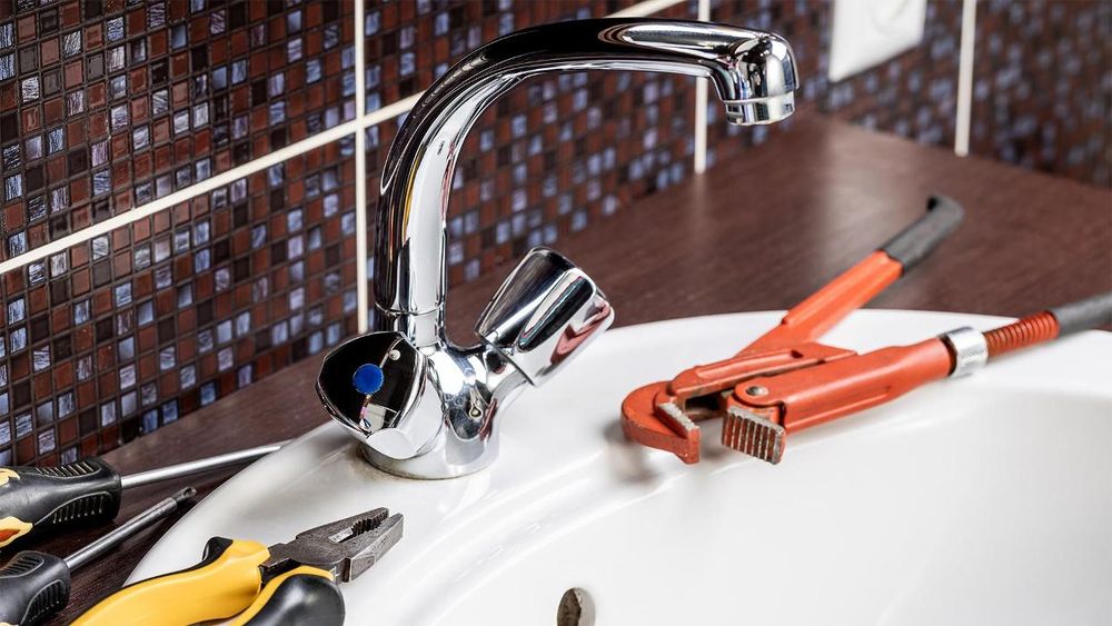 Slide of Silver Monkey