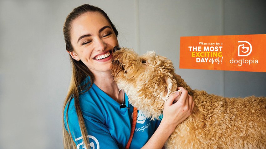 Dogtopia Of Grand Rapids - pet boarding facility in Grand Rapids, MI