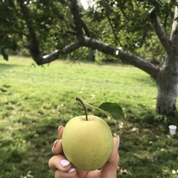 Outhouse Orchards - The perfect green apple - Fruits & Veggies Near Me - North Salem, New York