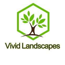Vivid Landscapes