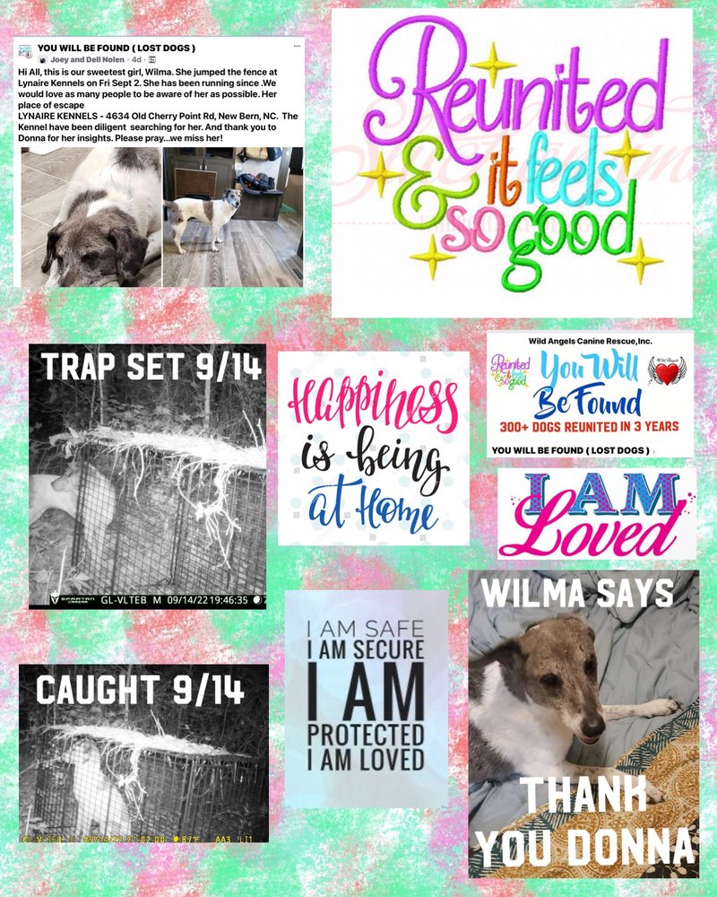 LYNAIRE KENNELS Updated August 2024 47 Photos & 13 Reviews 4634 Old Cherry Point Rd, New