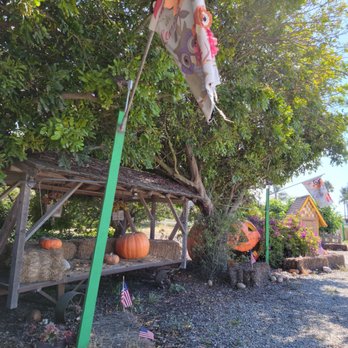 Somis Petersen Ranch - It will be pumpkin season soon. - Fruits & Veggies Near Me - Somis, California Somis Petersen Ranch - It will be pumpkin season soon. - Fruits & Veggies Near Me - Somis, California