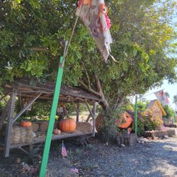 Somis Petersen Ranch - It will be pumpkin season soon.