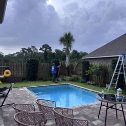 Altman Landscaping - High and tight palm tree trim