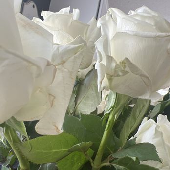 Travis Wholesale Florists - Brown and wilting - Florists Near Me - San Antonio, Texas