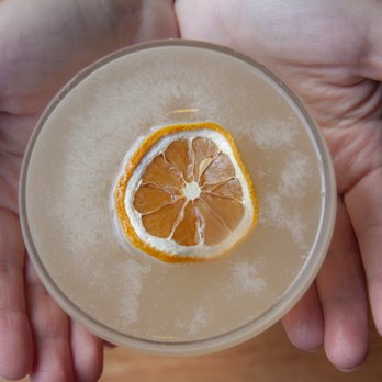 Forgotten Tonic - The Bees Knees - Wine Bars Near Me - Saint Augustine, Florida