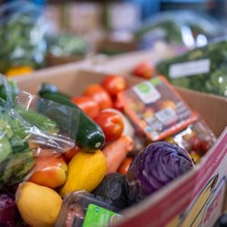 Hope for Hunger Food Bank