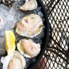 The Oyster Bar gift card