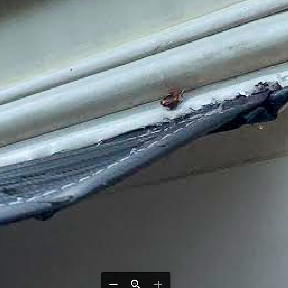 Camping World - More awning fabric damage - RV Dealers Near Me - Nashville, Tennessee