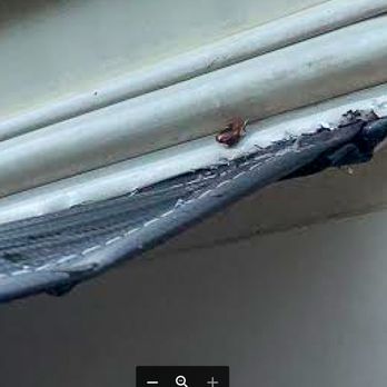 Camping World - Nashville - More awning fabric damage - RV Dealers Near Me - Nashville, Tennessee Camping World - Nashville - More awning fabric damage - RV Dealers Near Me - Nashville, Tennessee