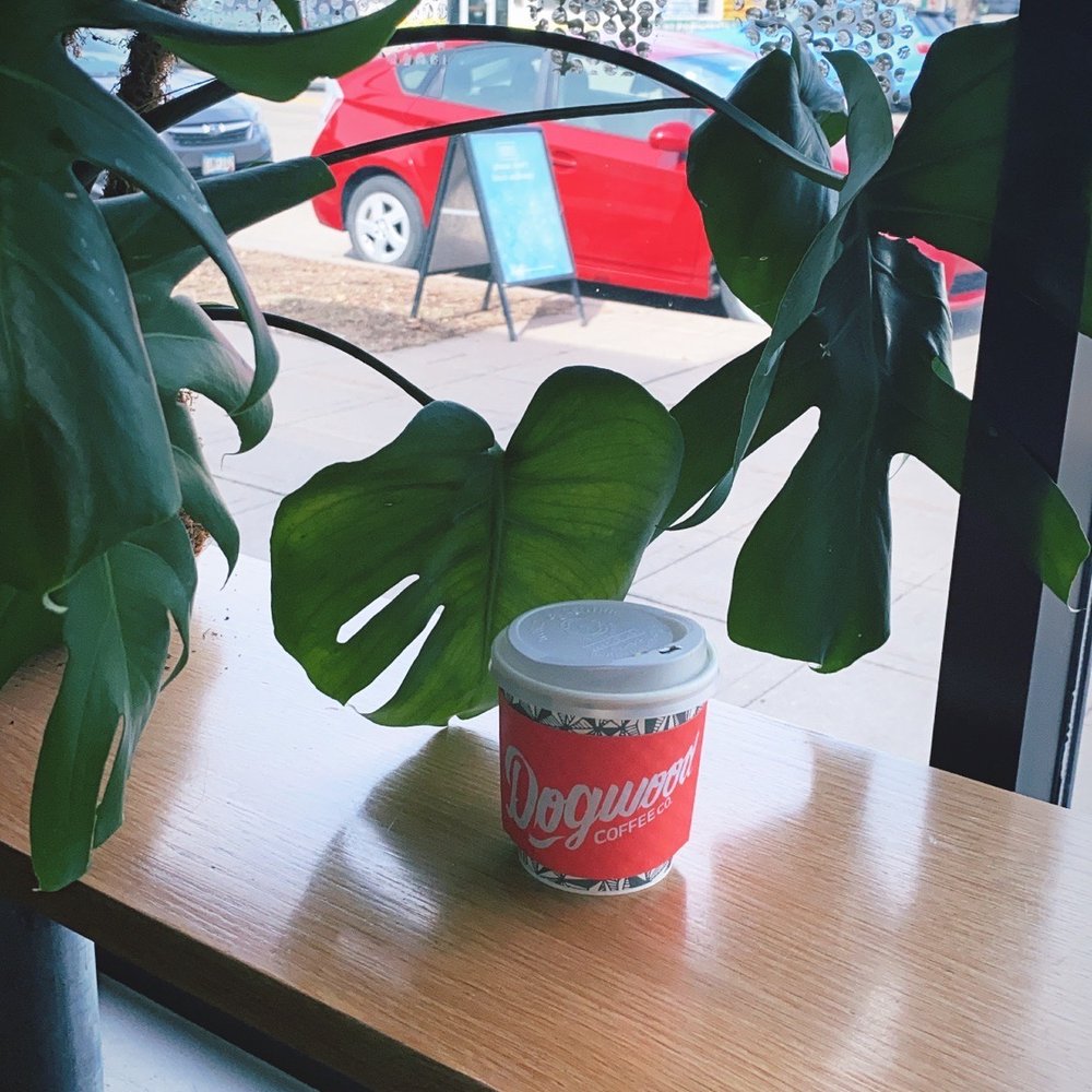 Dogwood Coffee - Turmeric Tea - Coffee & Tea Near Me - Minneapolis, Minnesota Dogwood Coffee - Turmeric Tea - Coffee & Tea Near Me - Minneapolis, Minnesota