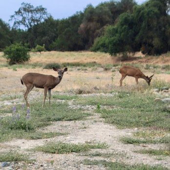 Ancil Hoffman Park - Parks Near Me - Carmichael, California