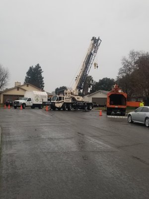 "Where Safety Meets Superior Tree Service" - "Where Safety Meets Superior Tree Service"