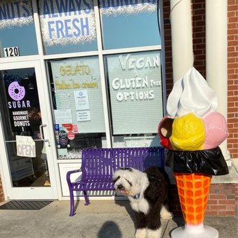 Sugar Donuts - Doggie waiting patiently for his treat! - Donuts Near Me - Charlotte, North Carolina Sugar Donuts - Doggie waiting patiently for his treat! - Donuts Near Me - Charlotte, North Carolina