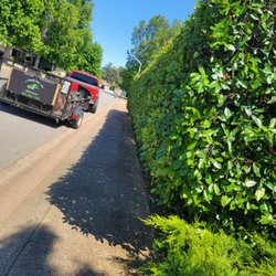 JP Lawn Care