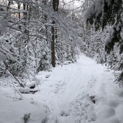 Dewey Mountain Recreation Area