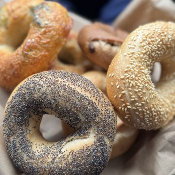 Noe Bagel - Bagels Near Me - San Francisco, California Noe Bagel - Bagels Near Me - San Francisco, California