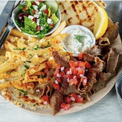 Small Gyro Plate