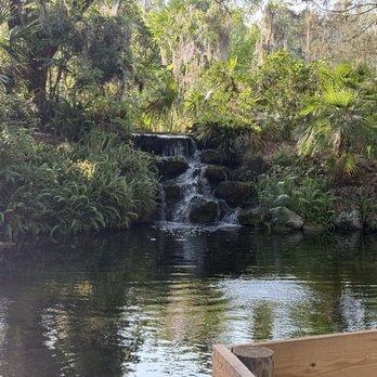 Rainbow Springs State Park - Parks Near Me - Dunnellon, Florida Rainbow Springs State Park - Parks Near Me - Dunnellon, Florida