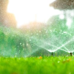 All Pro Irrigation
